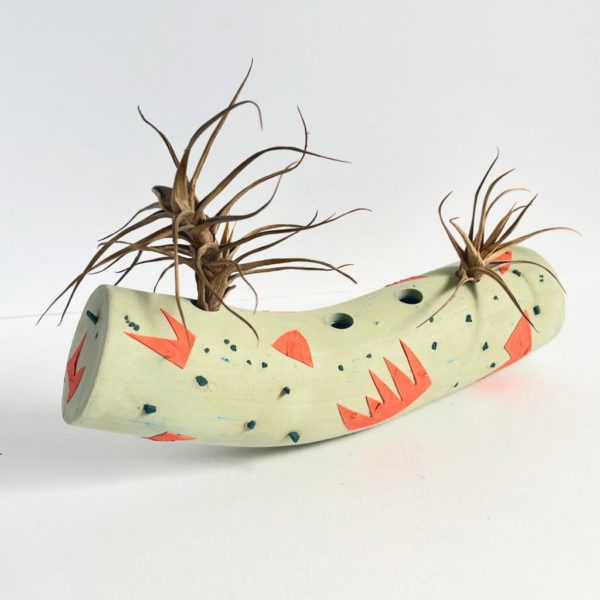 surface design colorful clay tube with succulents sprouting from it