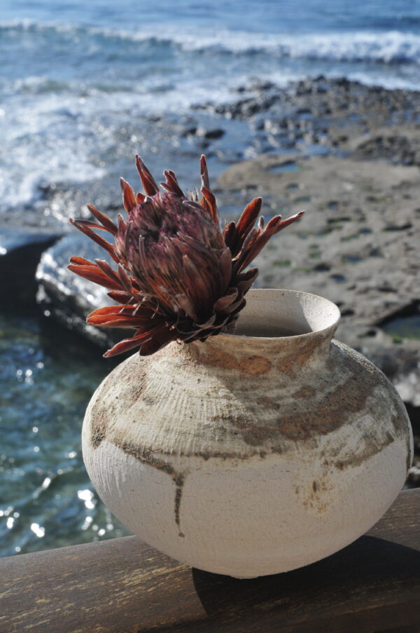 handmade ceramic pot outdoors with ocean in background
