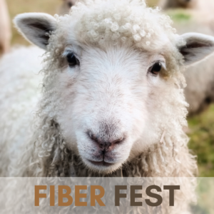 graphic with sheep face for Fiber Fest at San Diego Craft Collective