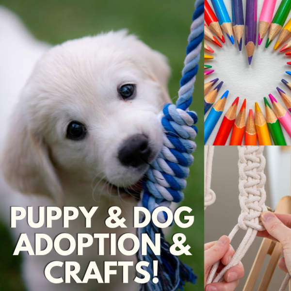 Puppy & Dog Adoption Event with fun free crafts and more with Cantu Foundation, San Diego at San Diego Craft Collective in Liberty Station