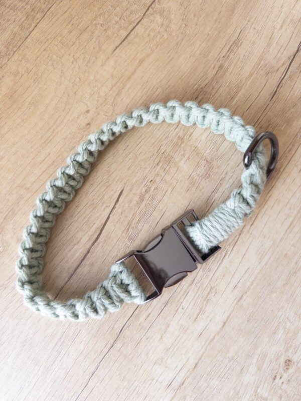 pet collar made with green macrame' cord