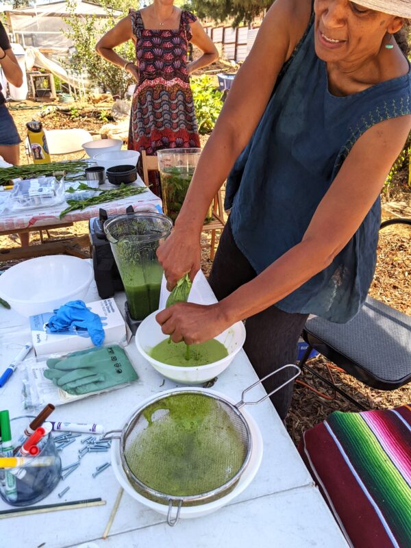 Learn to dye with fresh indigo with San Diego Craft Collective