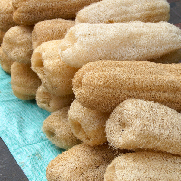 pile of loofahs