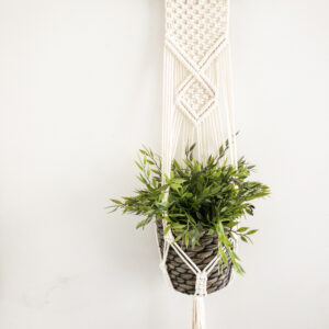 macrame' driftwood plant hanger