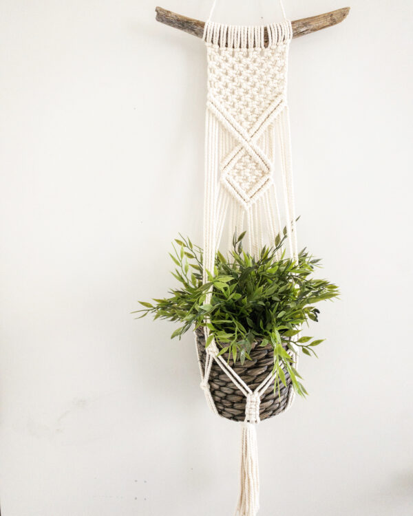 macrame' driftwood plant hanger