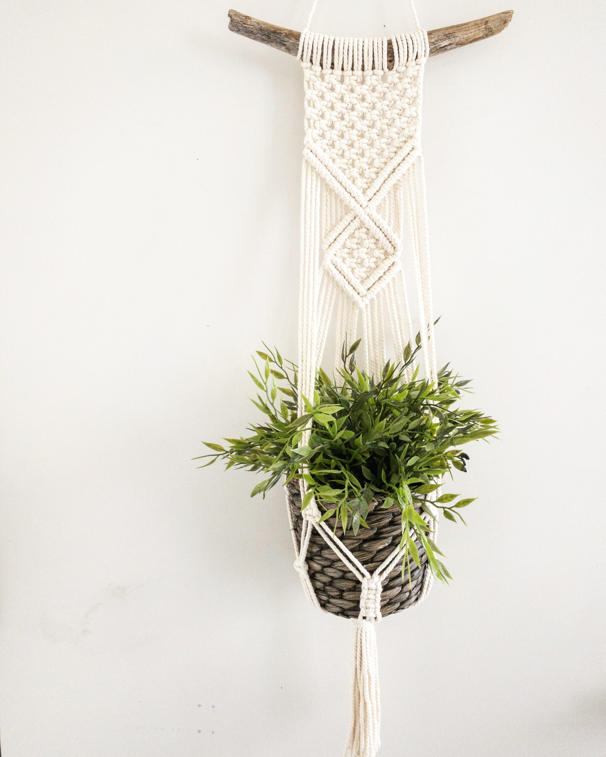 macrame' driftwood plant hanger