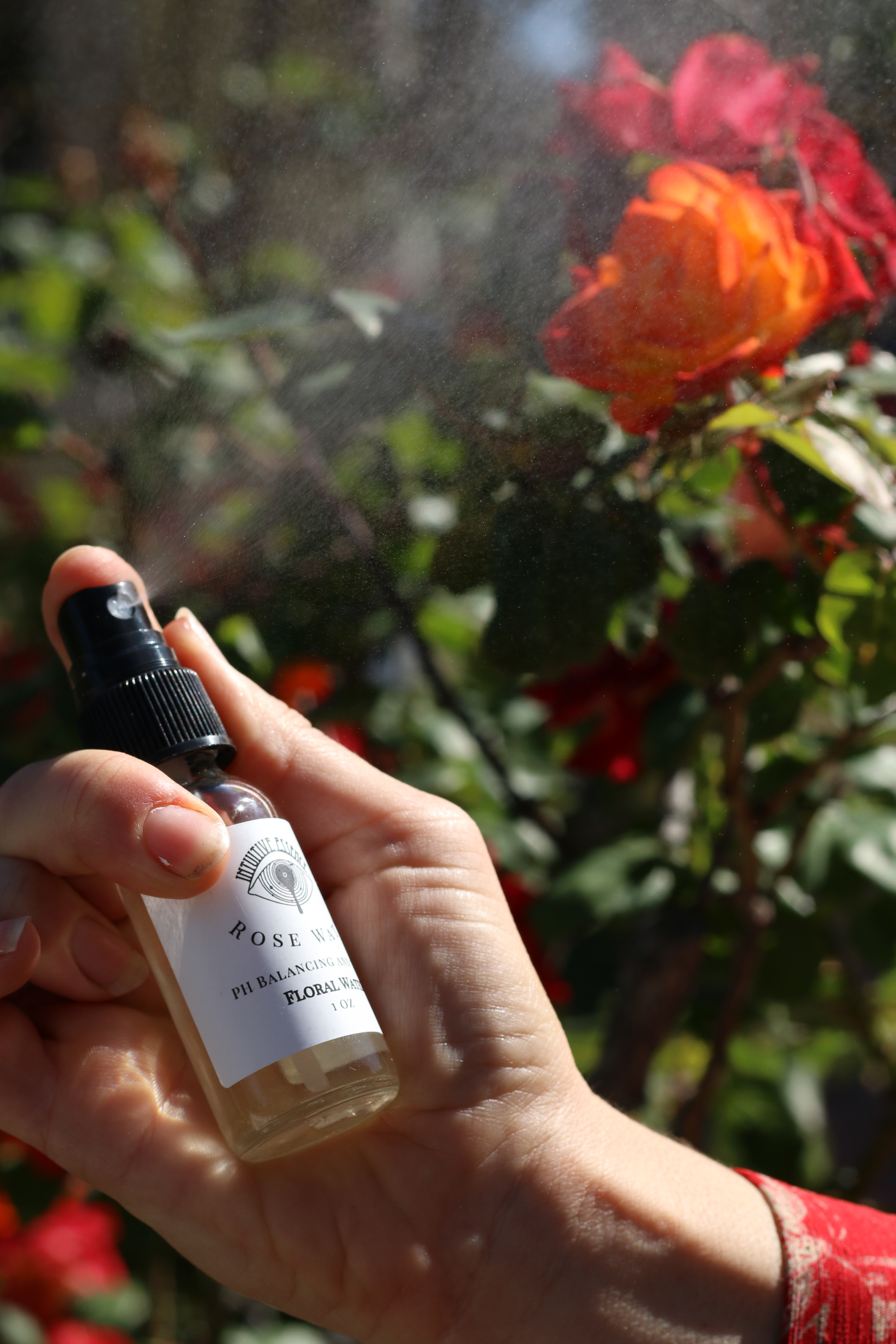 Learn Distillation and Hydrosol Making with Audrey Herrington at San Diego Craft Collective