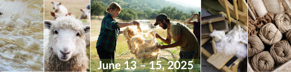 photos of weaving textile, face of sheep, two persons lifting wool fleece, fleece and carders, finished yarn, Fiber Fest, June 13 - 15, 2025