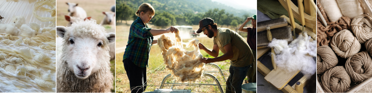Fiber Fest is a free, family-friendly fiber arts event at San Diego Craft Collective in Liberty Station.