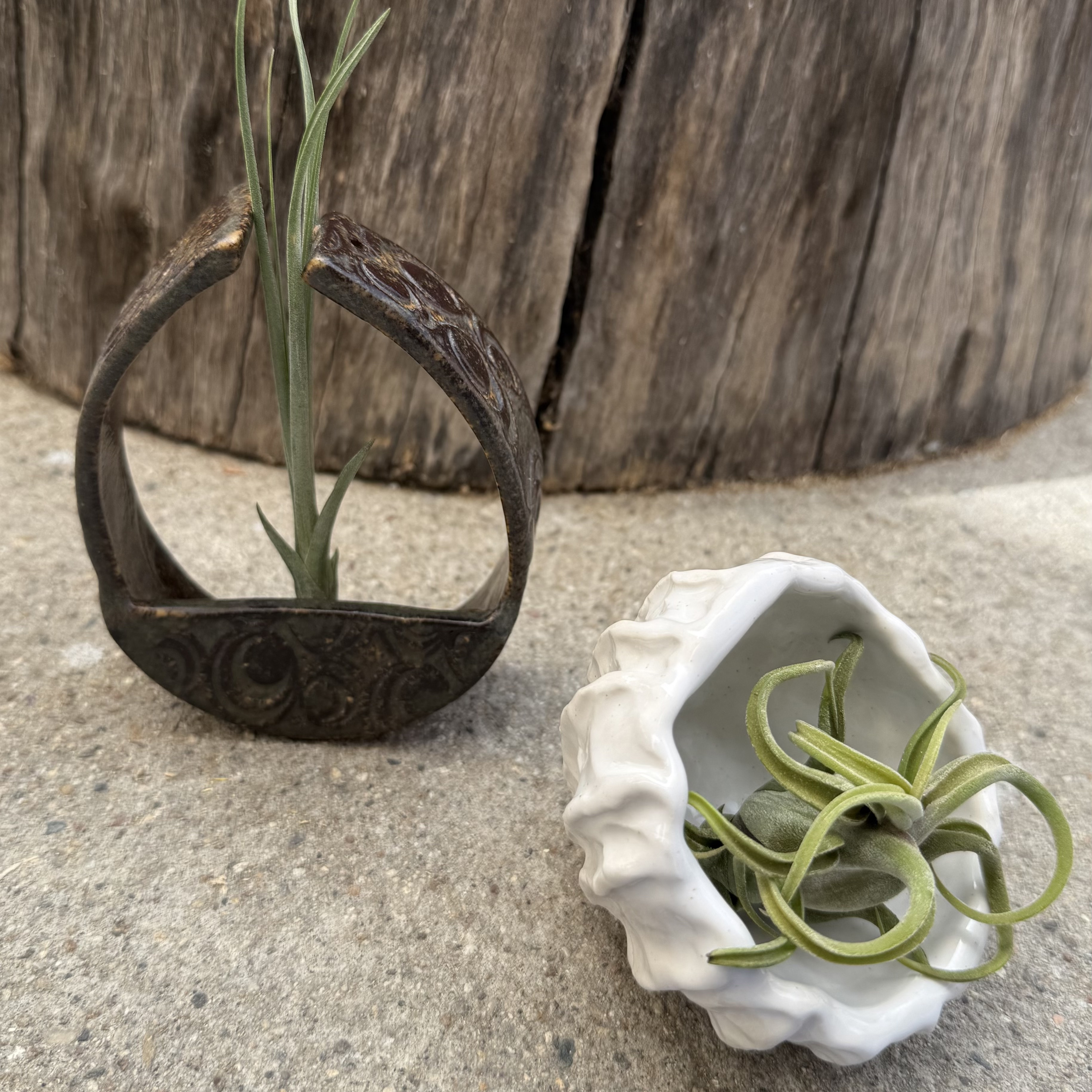 ceramic air plant holders
