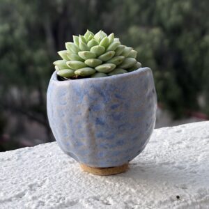 close up of succulent in small clay pinch pot, glazed
