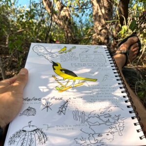Book & Paper Arts | Intro to Nature Journaling