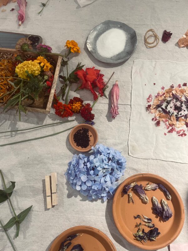 Fiber Arts | Natural Dye: Botanical Bundle Dye Workshop – San Diego ...