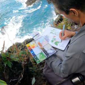 Book & Paper Arts | Botanical Drawing for Everyone